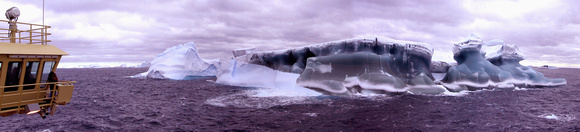 Iceberg Alley Greenie cropped 2