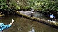 DJI_0147 Starrigavan Creek Stream Exercize 3 Sep 19