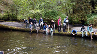 DJI_0152 Starrigavan Creek Stream Exercize 5 Sep 19