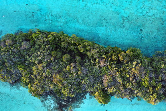 Aldabra Atoll Oct 2018DJI_0082
