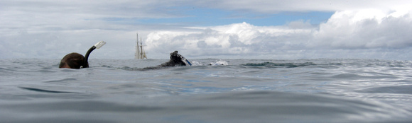 RCS and Washington snorkeler