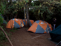Big Tree Camp CIMG1073