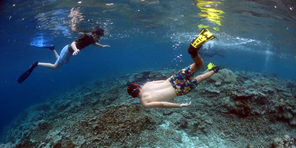 Uchelbeluu Reef Palau 2015 3