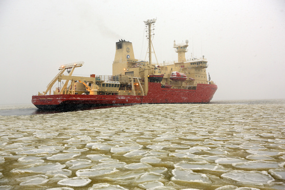 Ross Sea Tracers Golden Pancake Ice in stormF68A6555